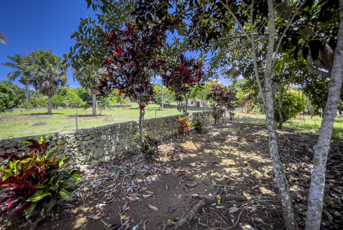 Countryside Lot For Sale In El Choco