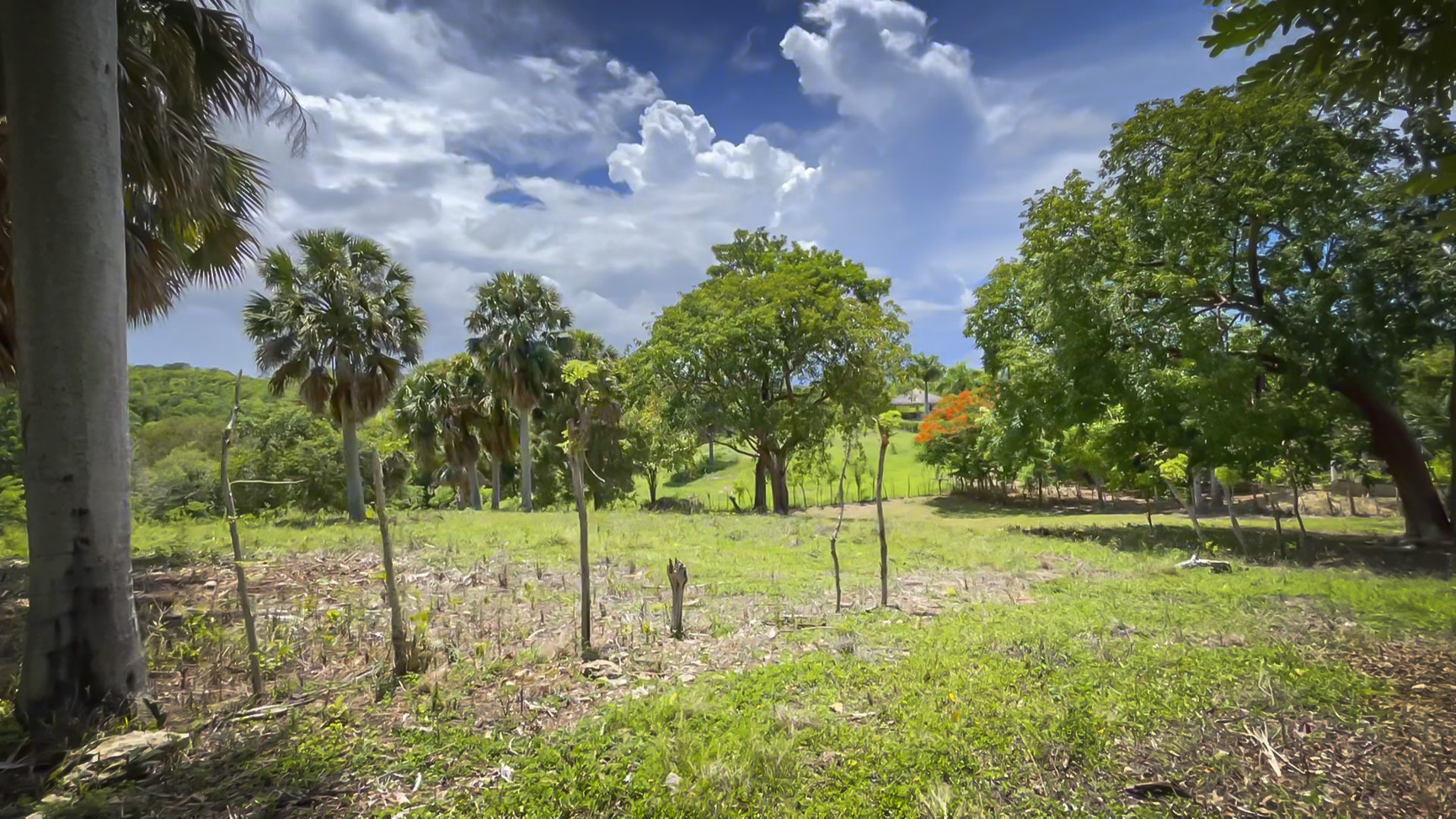 Countryside Lot For Sale In El Choco