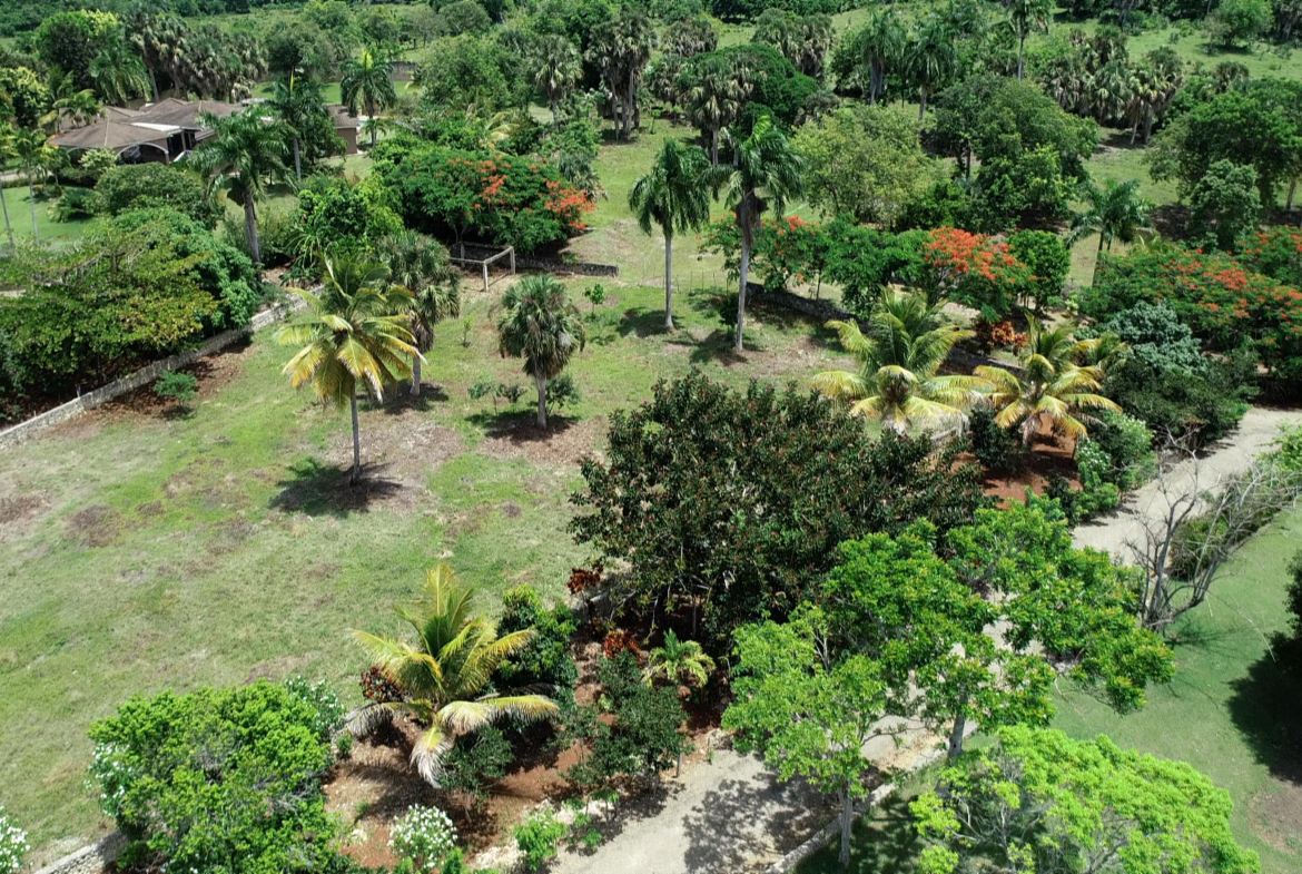 Aerial View of Countryside Lot For Sale In El Choco