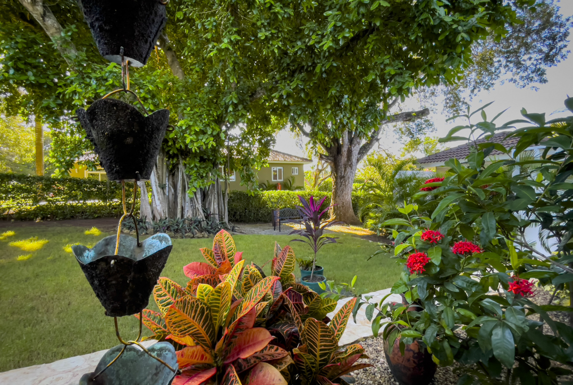 buyDRproperty Lush garden with vibrant plants and a glimpse of a stunning 2-bedroom villa. Sosua Real Estate