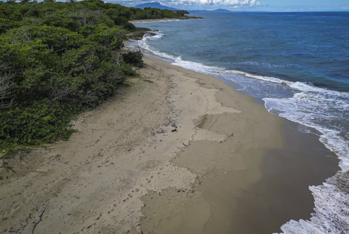 Aerial View of Beach Property For Sale