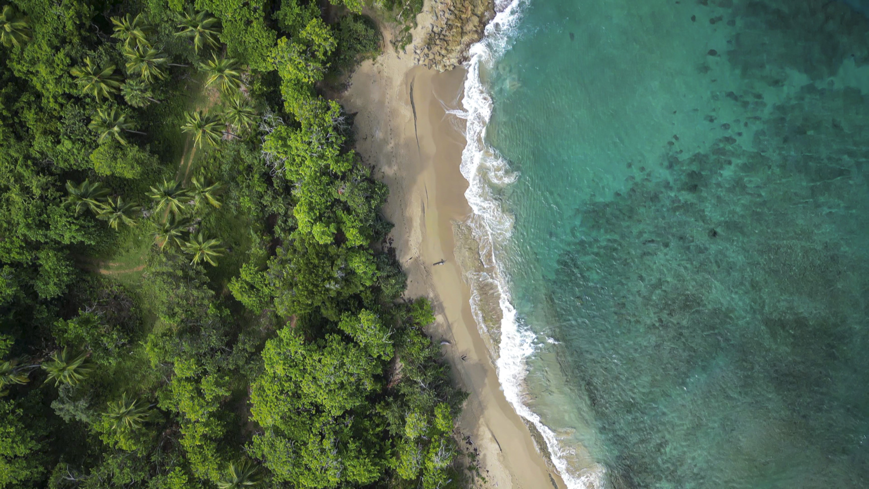 Aerial View of Beach and ocean