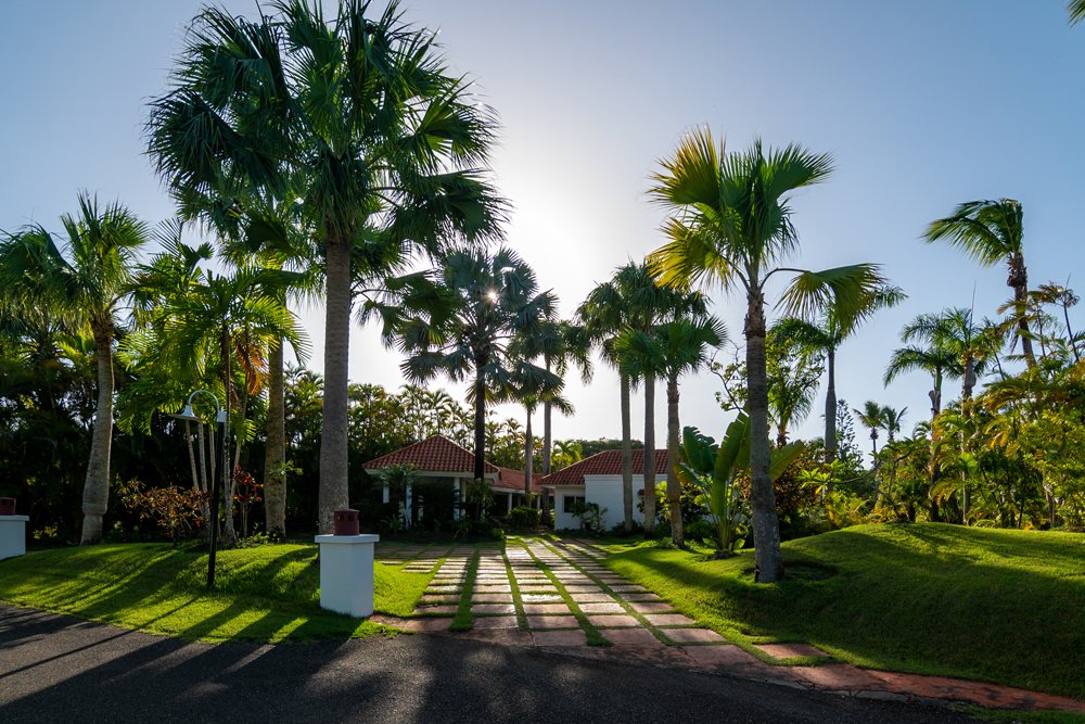 Villa LUNA Palm Trees