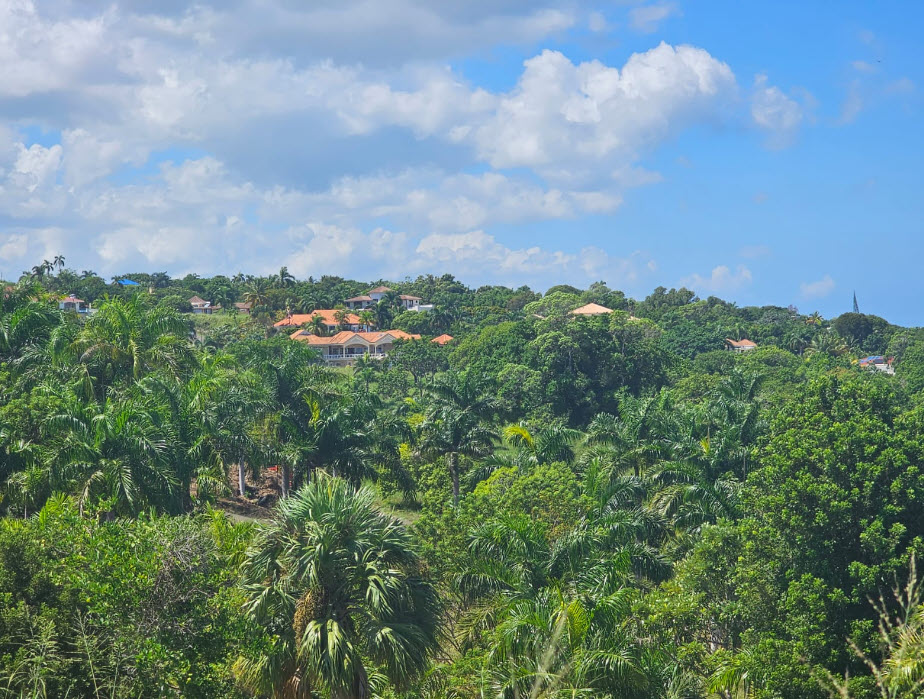 Panorama Village Views