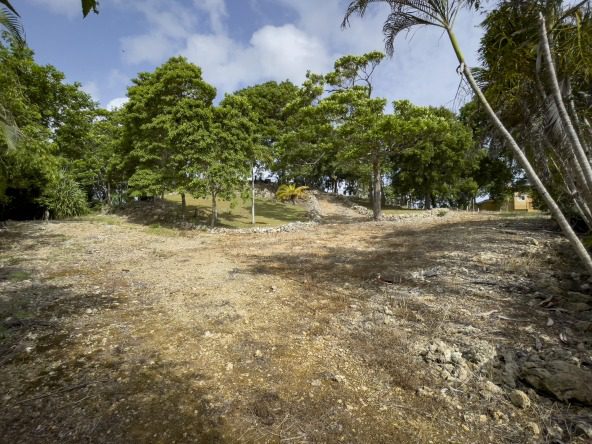 Vacant building lot for sale with trees and potential ocean views.