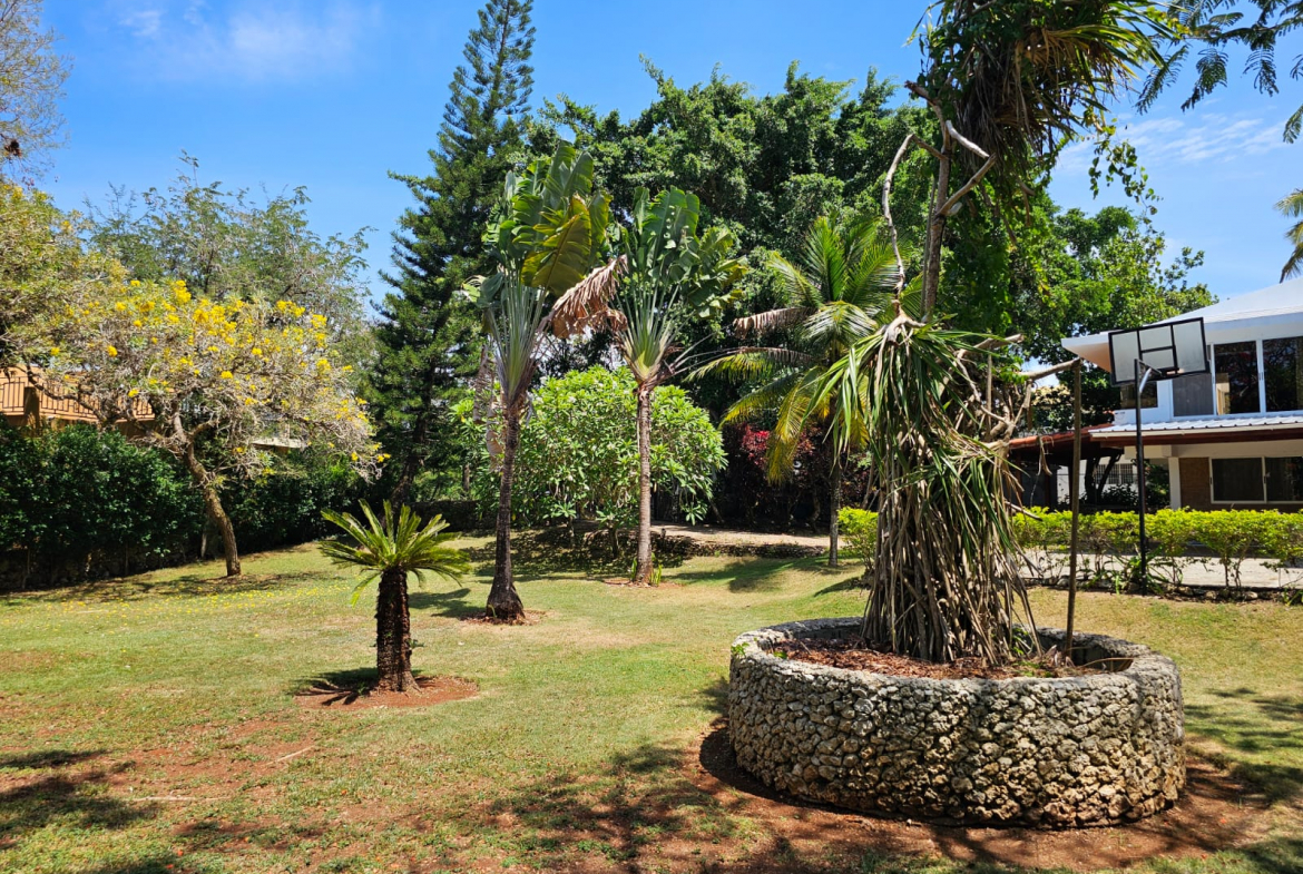 buyDRproperty Lush tropical garden with unique trees at Sosua villa. Sosua Real Estate
