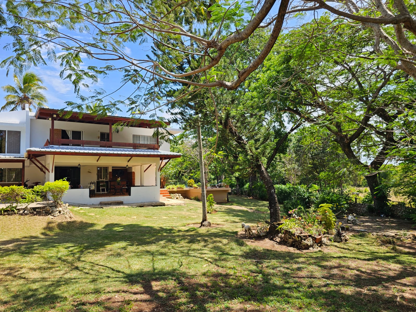 buyDRproperty Spacious villa with lawn and trees, showcasing its unique outdoor space and design. Sosua Real Estate