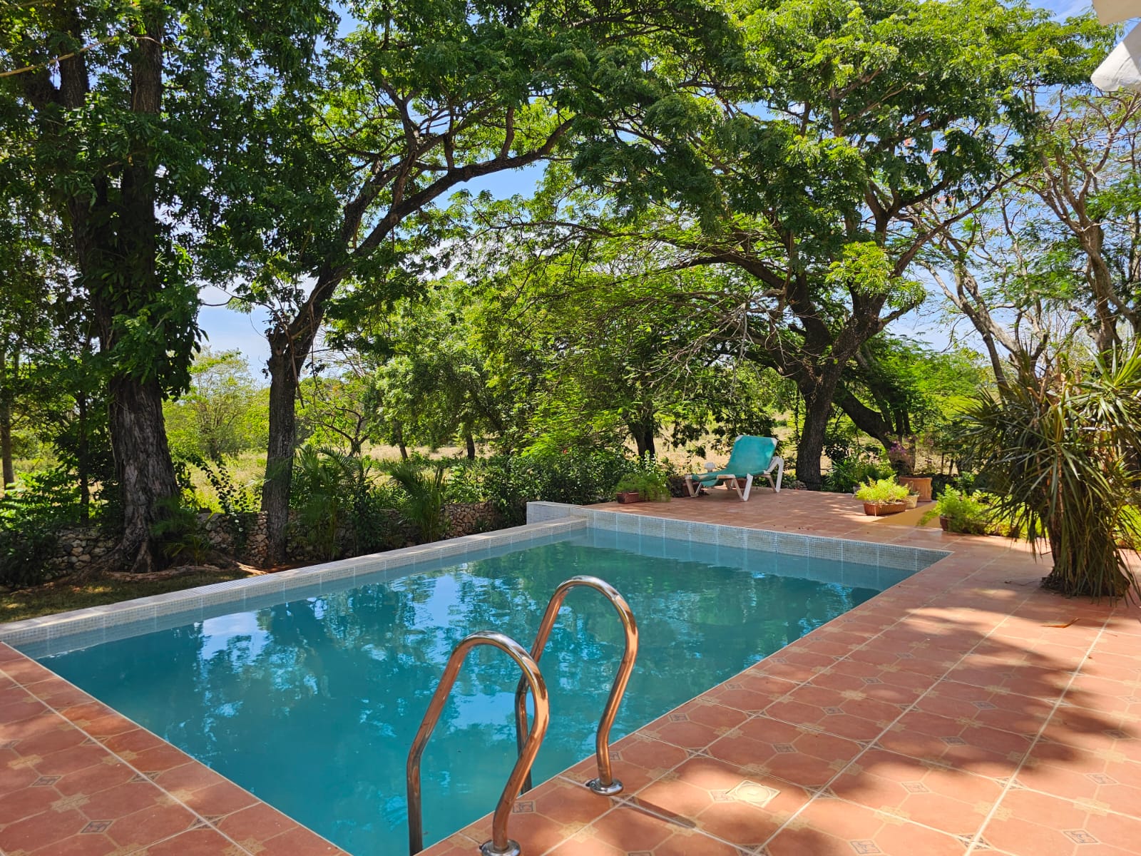 buyDRproperty Sosua villa pool with red tile patio and lush tropical trees. Unique outdoor space. Sosua Real Estate