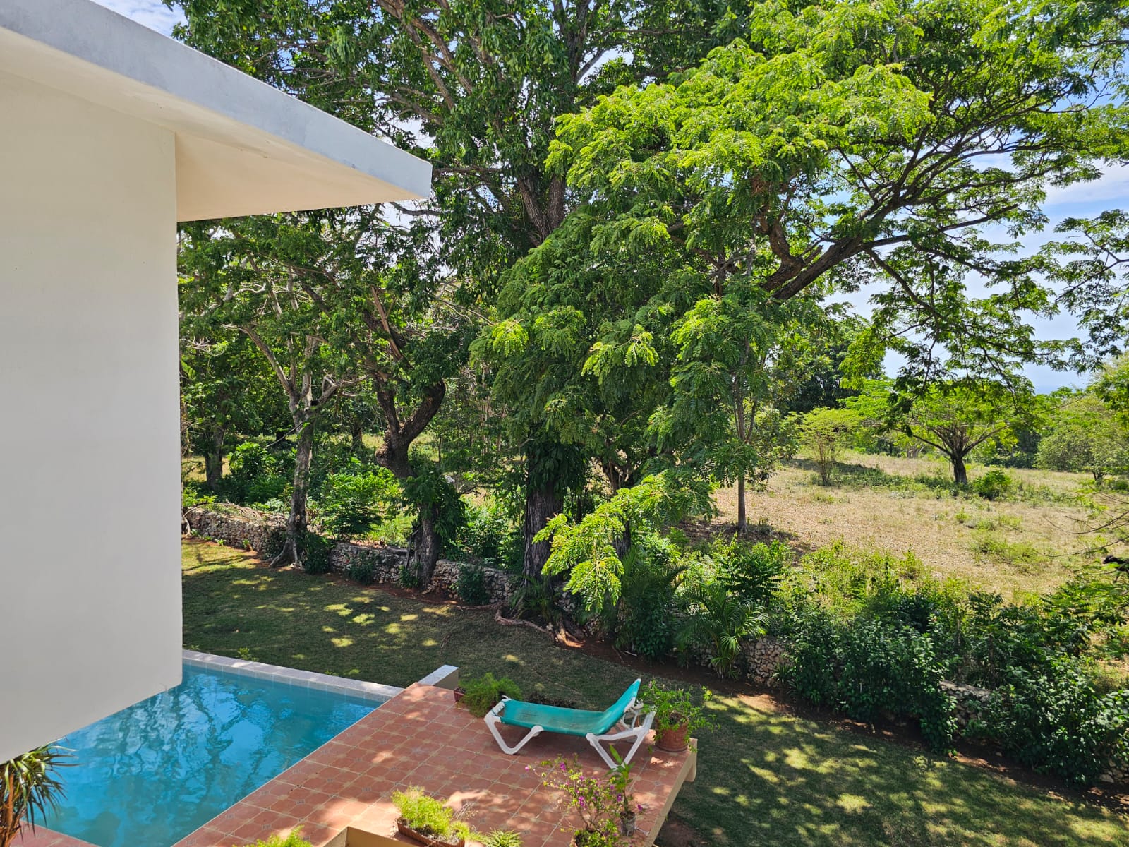 buyDRproperty Sosua villa view: pool, lounge chair, and lush green garden. Unique property. Sosua Real Estate