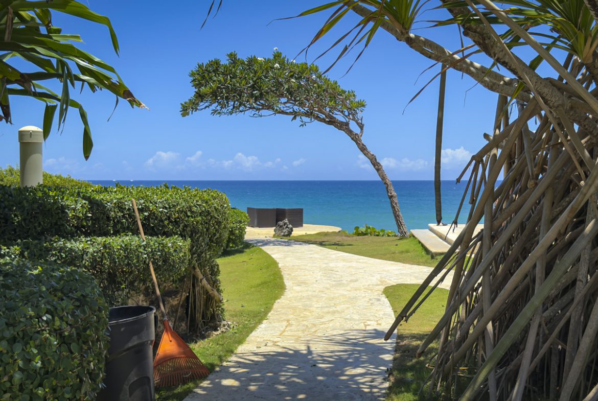 buyDRproperty Stone pathway leading to the ocean with a leaning tree and lush greenery Sosua Real Estate