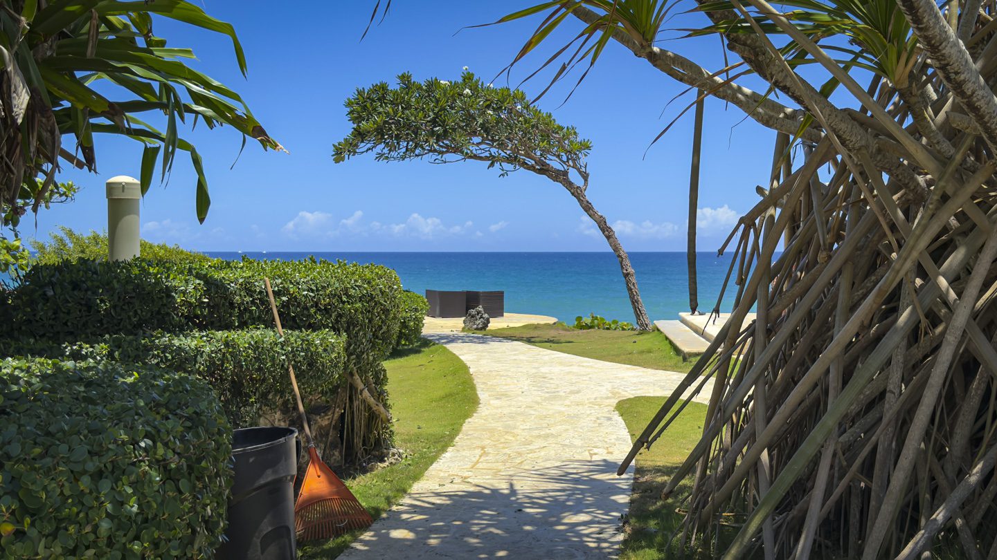 buyDRproperty Stone pathway leading to the ocean with a leaning tree and lush greenery Sosua Real Estate