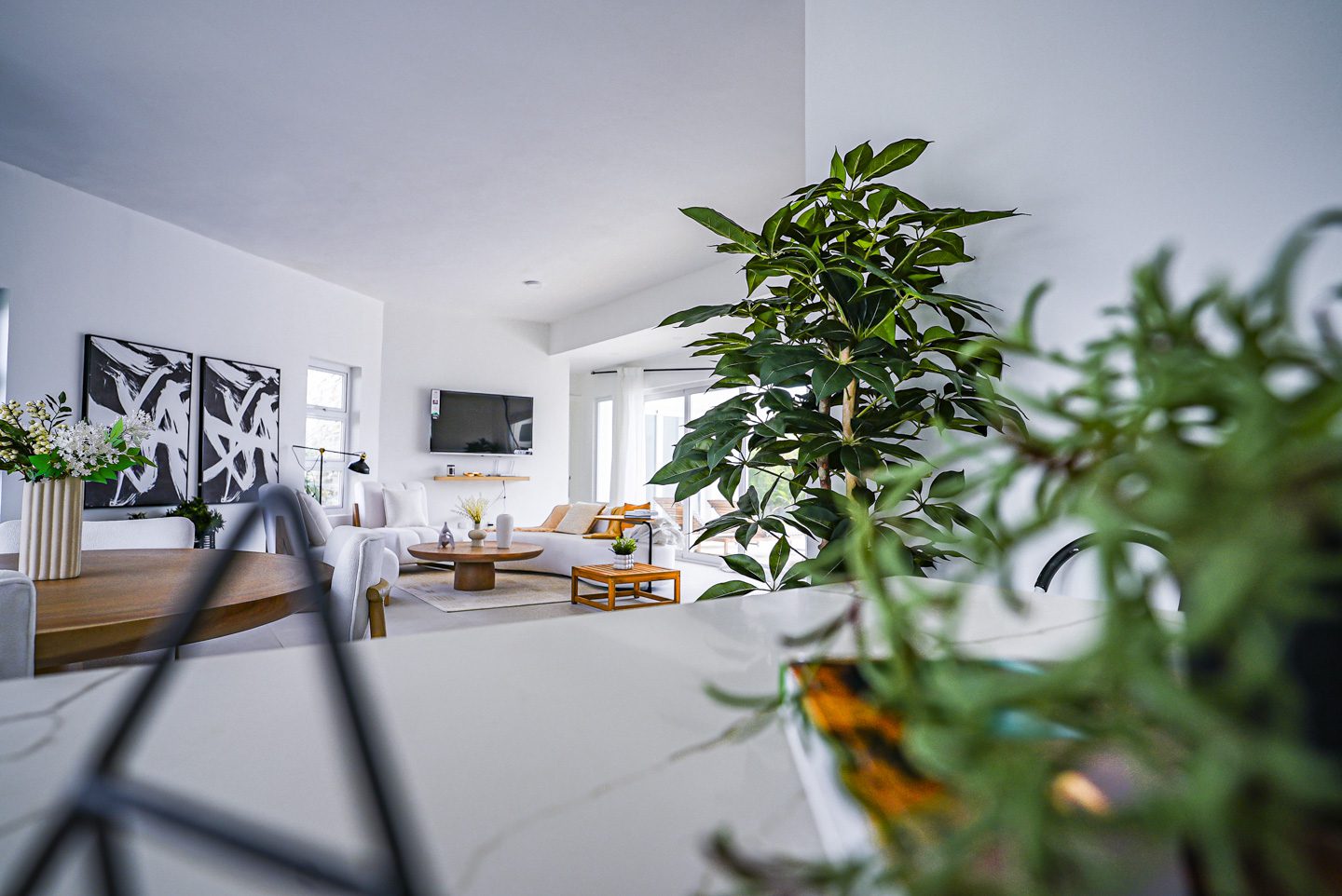 buyDRproperty Modern villa interior with large plant, white furniture and abstract art. Sosua Real Estate