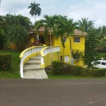 Buydrproperty Charming Yellow Villa with Curved Staircase and Palm Trees Sosua Real Estate Buydrpropertycom Buydrpropertycom