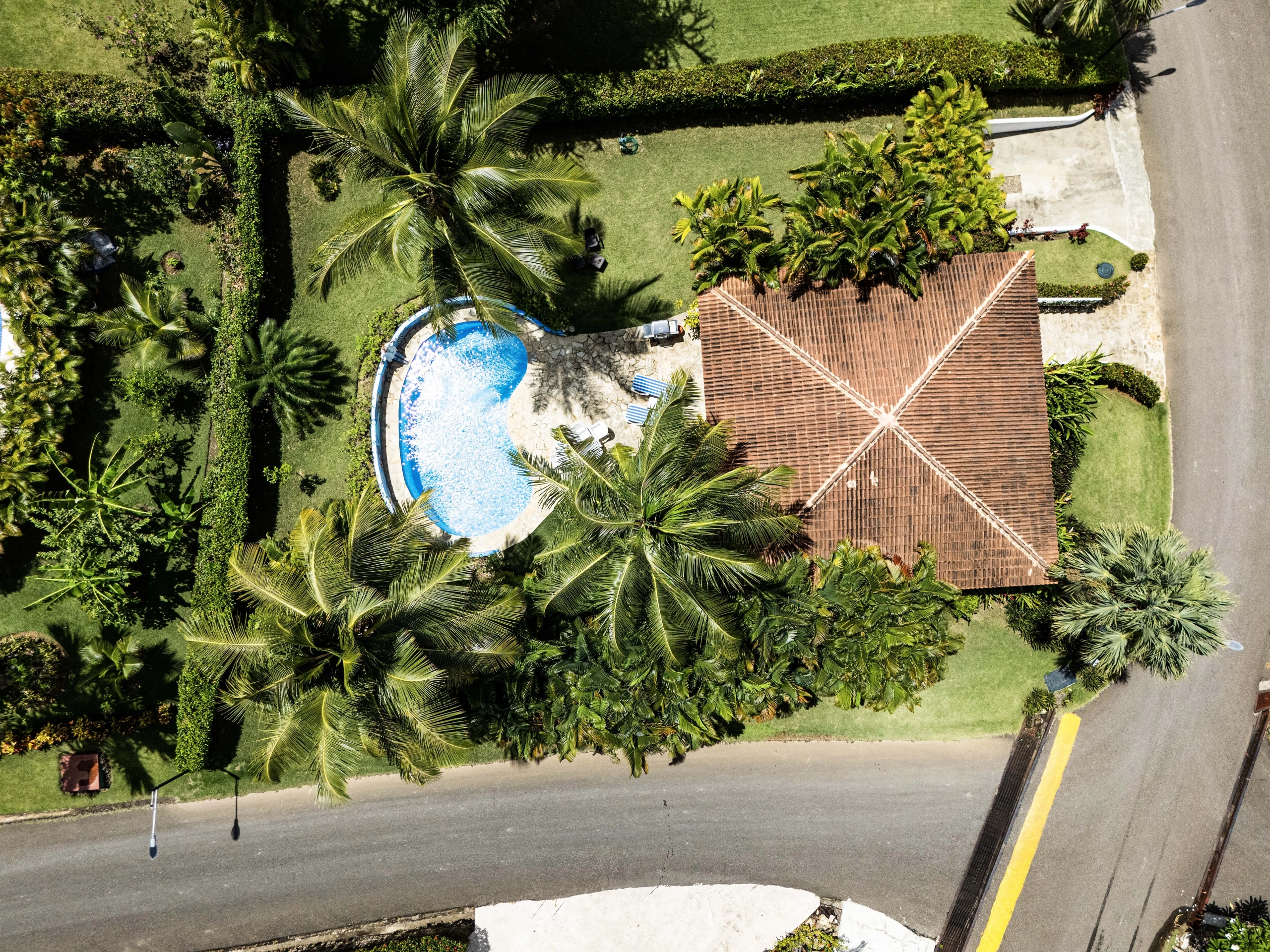 buyDRproperty Aerial view of a charming villa with a pool surrounded by palm trees in Sosua. Sosua Real Estate
