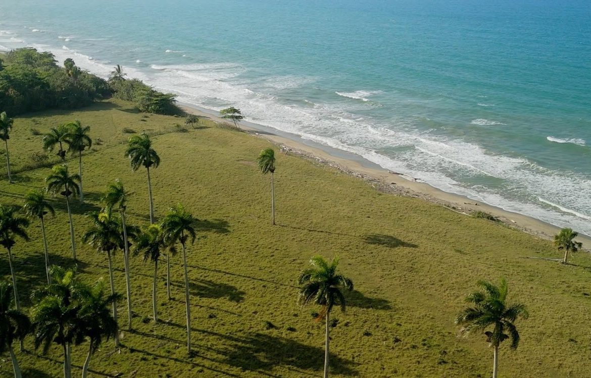buyDRproperty Aerial view of beachfront land with palm trees near Cabarete, Dominican Republic Sosua Real Estate