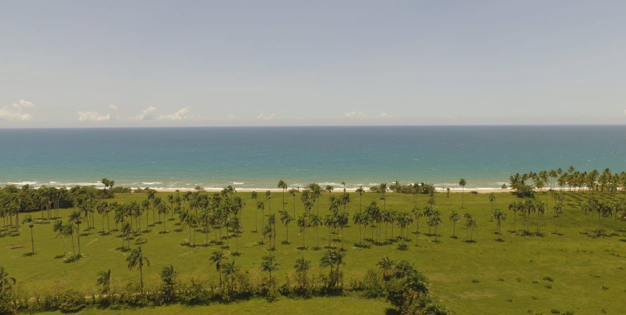 buyDRproperty Beachfront land with palm trees near Cabarete, Dominican Republic. Sosua Real Estate