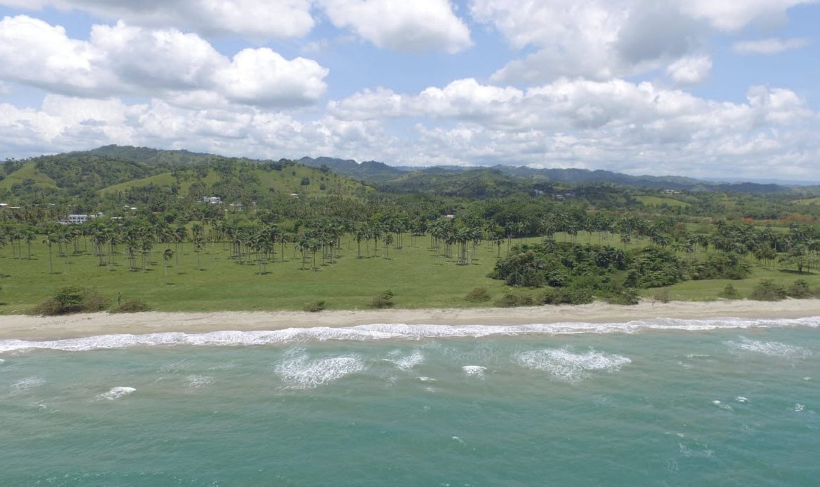 buyDRproperty Beachfront land near Cabarete, Dominican Republic, with palm trees and ocean view. Sosua Real Estate