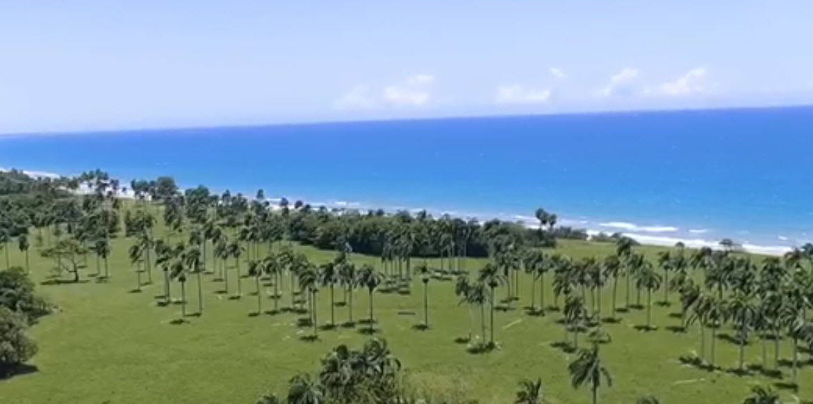 buyDRproperty Beachfront land with palm trees and clear blue ocean near Cabarete, Dominican Republic. Sosua Real Estate