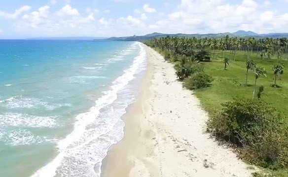 las canas beach, white beach and palm trees