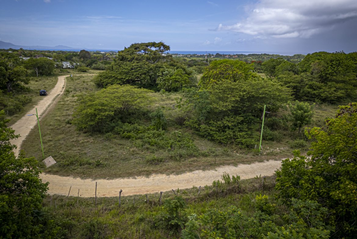 buyDRproperty Dirt road winding through lush Caribbean landscape with ocean view. Sosua Real Estate