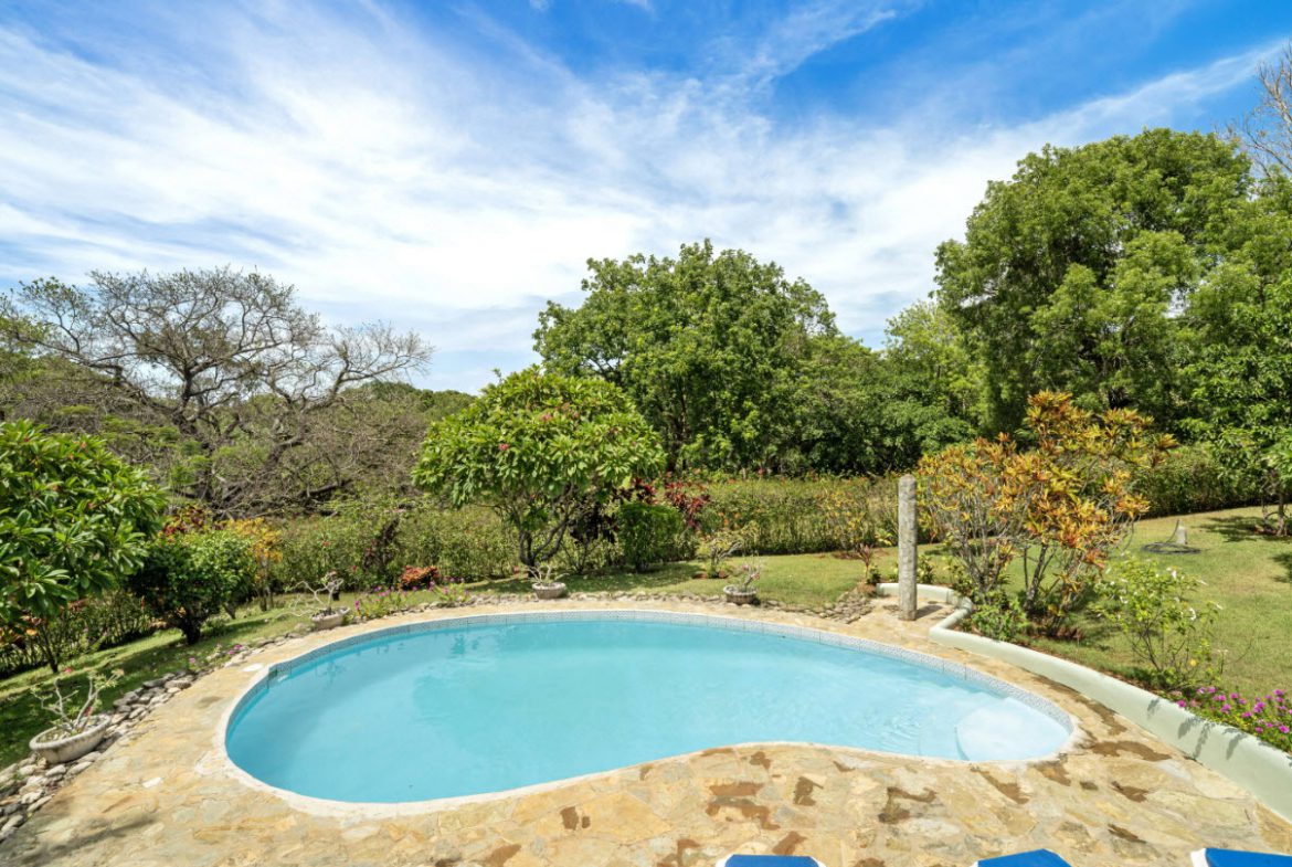 buyDRproperty Swimming pool in a lush garden with ocean views near Residential Hispaniola. Sosua Real Estate