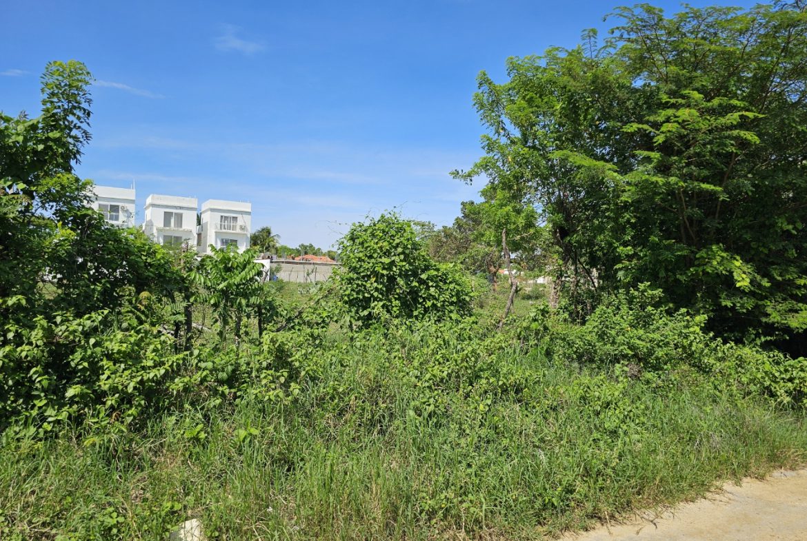 buyDRproperty Overgrown lot with lush greenery and modern white houses in the background. Sosua Real Estate