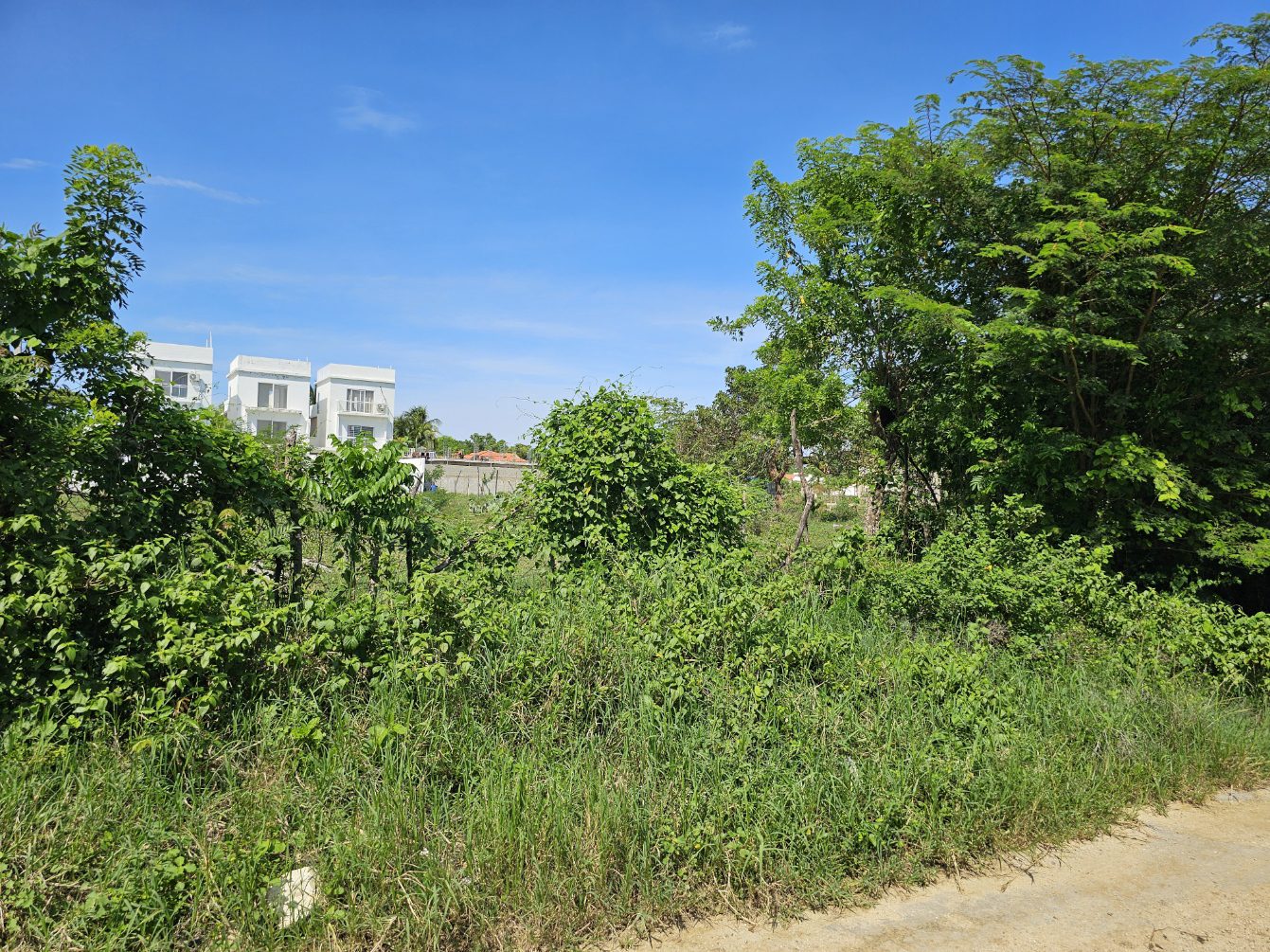buyDRproperty Overgrown lot with lush greenery and modern white houses in the background. Sosua Real Estate