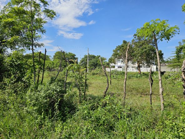 buyDRproperty Lush green field with a rustic wooden fence and trees under a bright blue sky. Sosua Real Estate