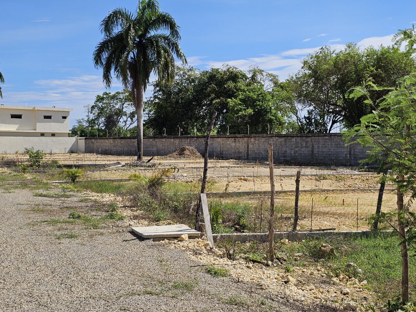 buyDRproperty Construction site with foundations laid, palm tree, and block wall under a blue sky. Sosua Real Estate