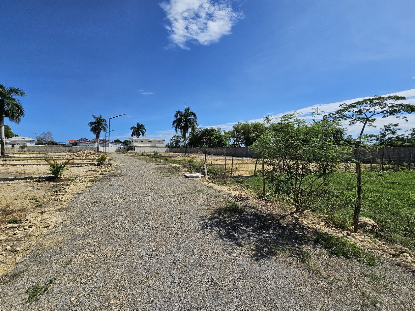 buyDRproperty Gravel road leading through vacant land plots under a bright blue sky with palm trees. Sosua Real Estate