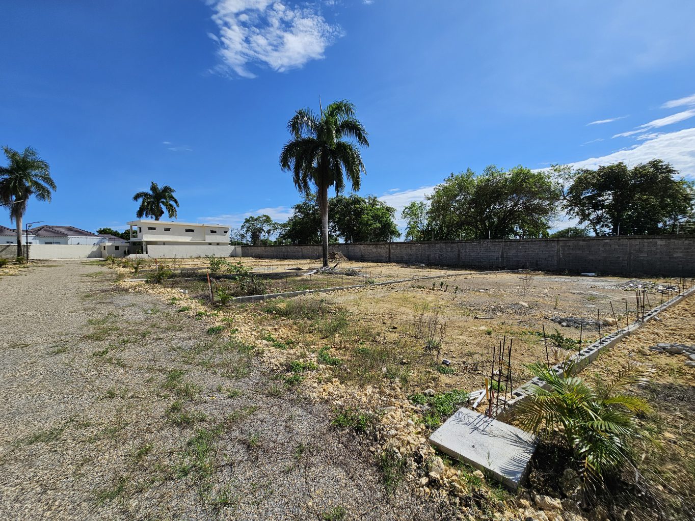 buyDRproperty Vacant land with palm trees and a wall under a blue sky. Sosua Real Estate