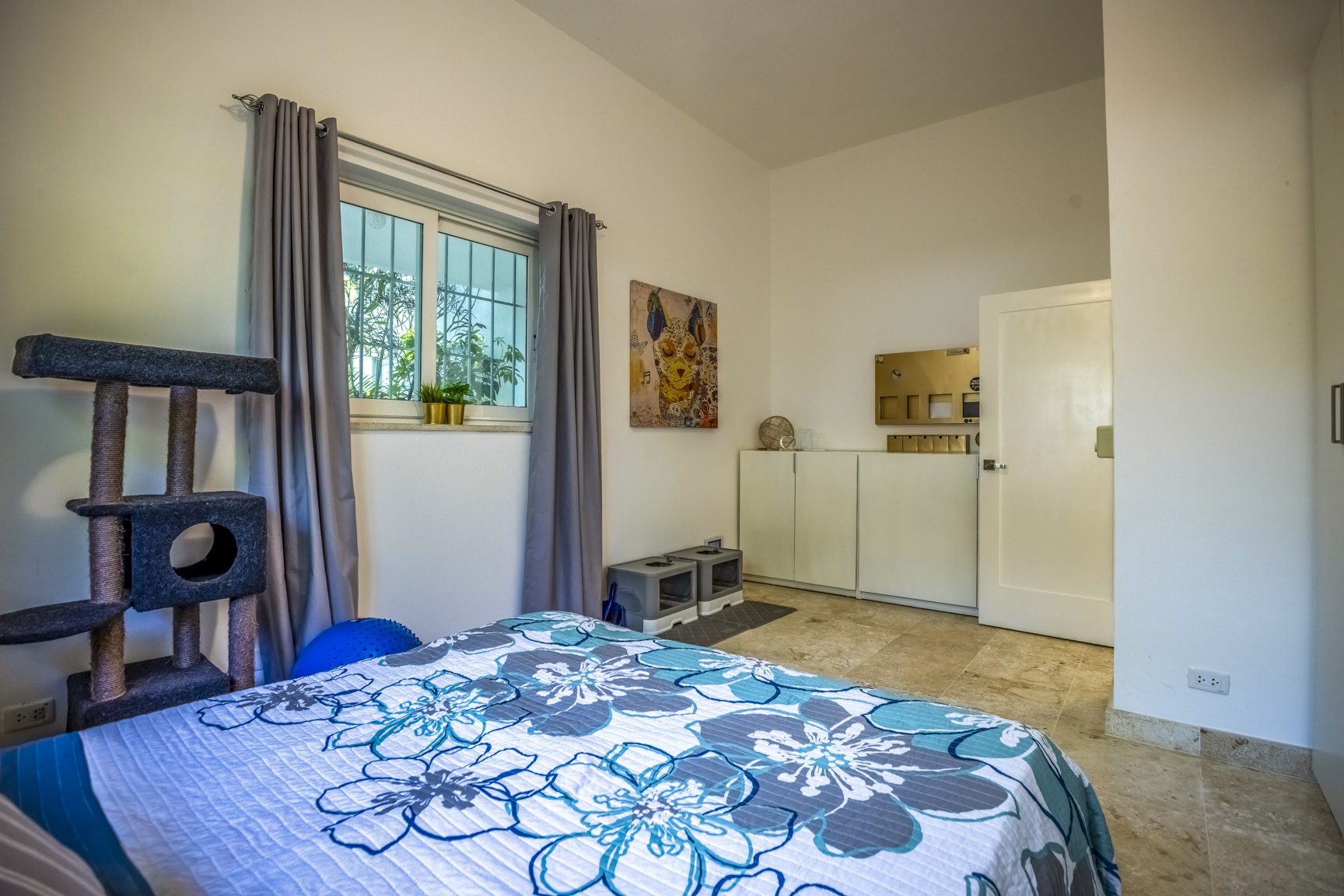 buyDRproperty Bedroom with blue floral bedding, cat tree, and window with gray curtains. Sosua Real Estate