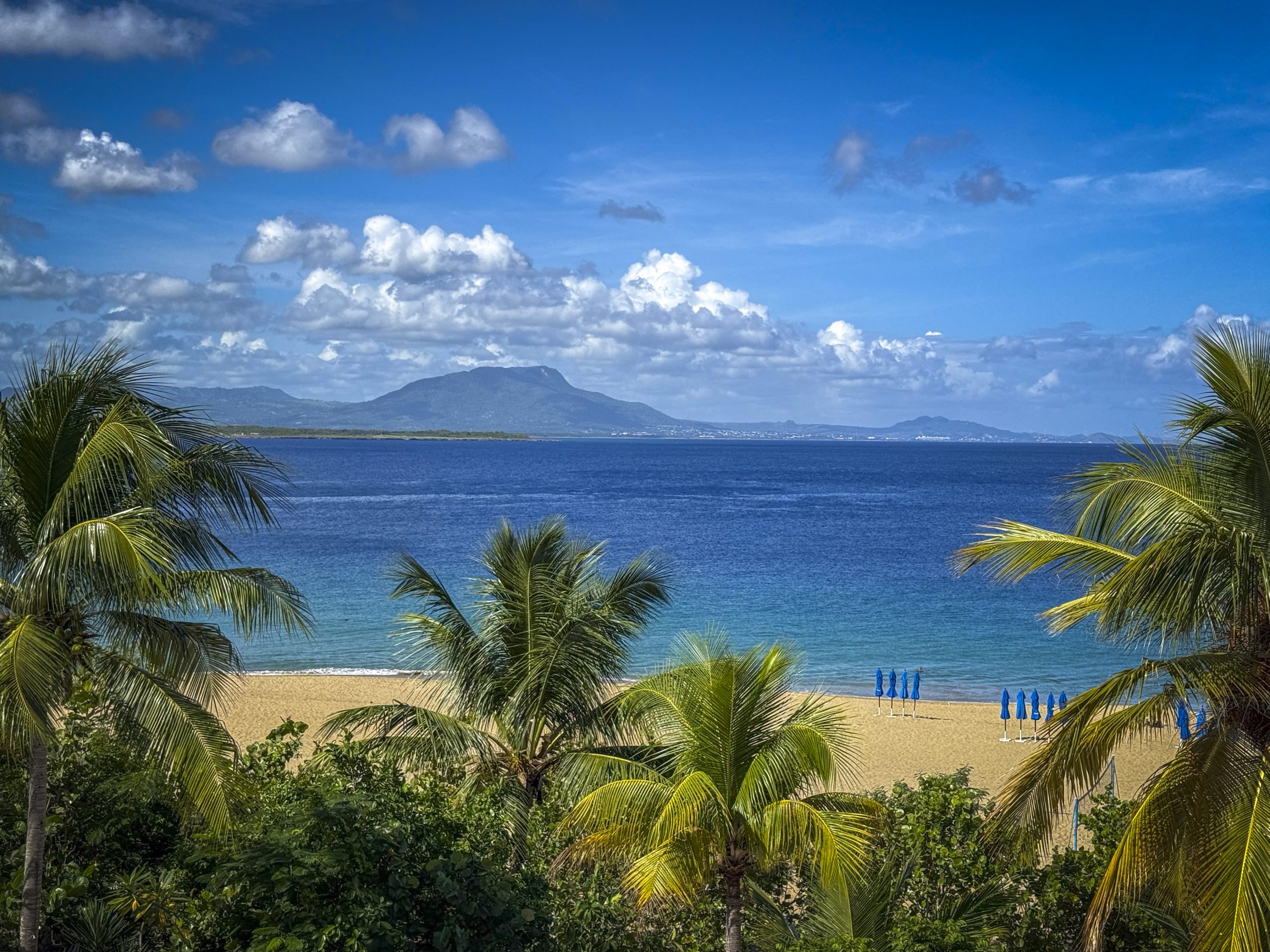 buyDRproperty Tropical beach view with palm trees, turquoise water, and distant mountains under a blue sky. Sosua Real Estate