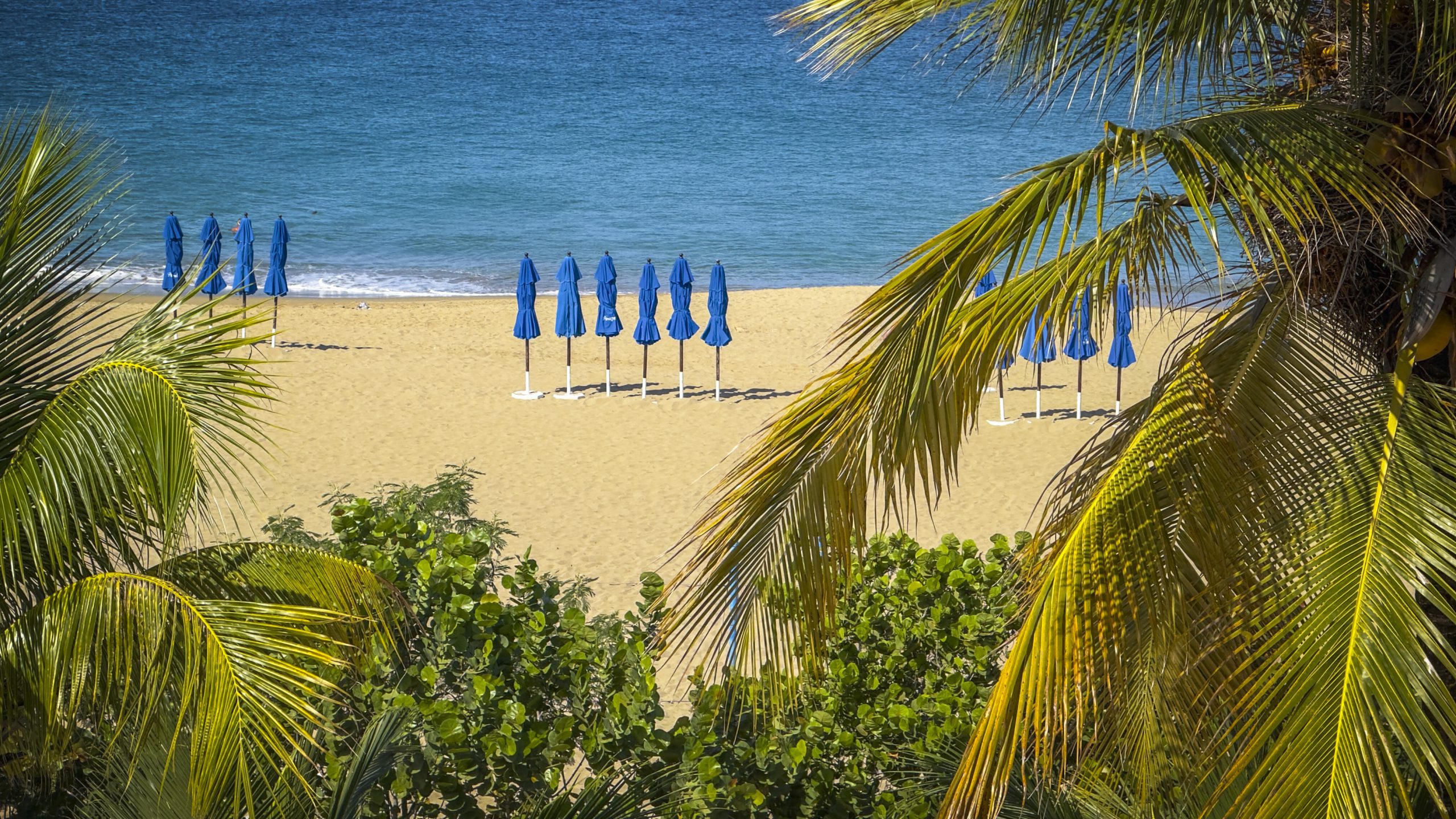 buyDRproperty Tropical beach scene with blue umbrellas on golden sand, framed by palm trees and turquoise water. Sosua Real Estate