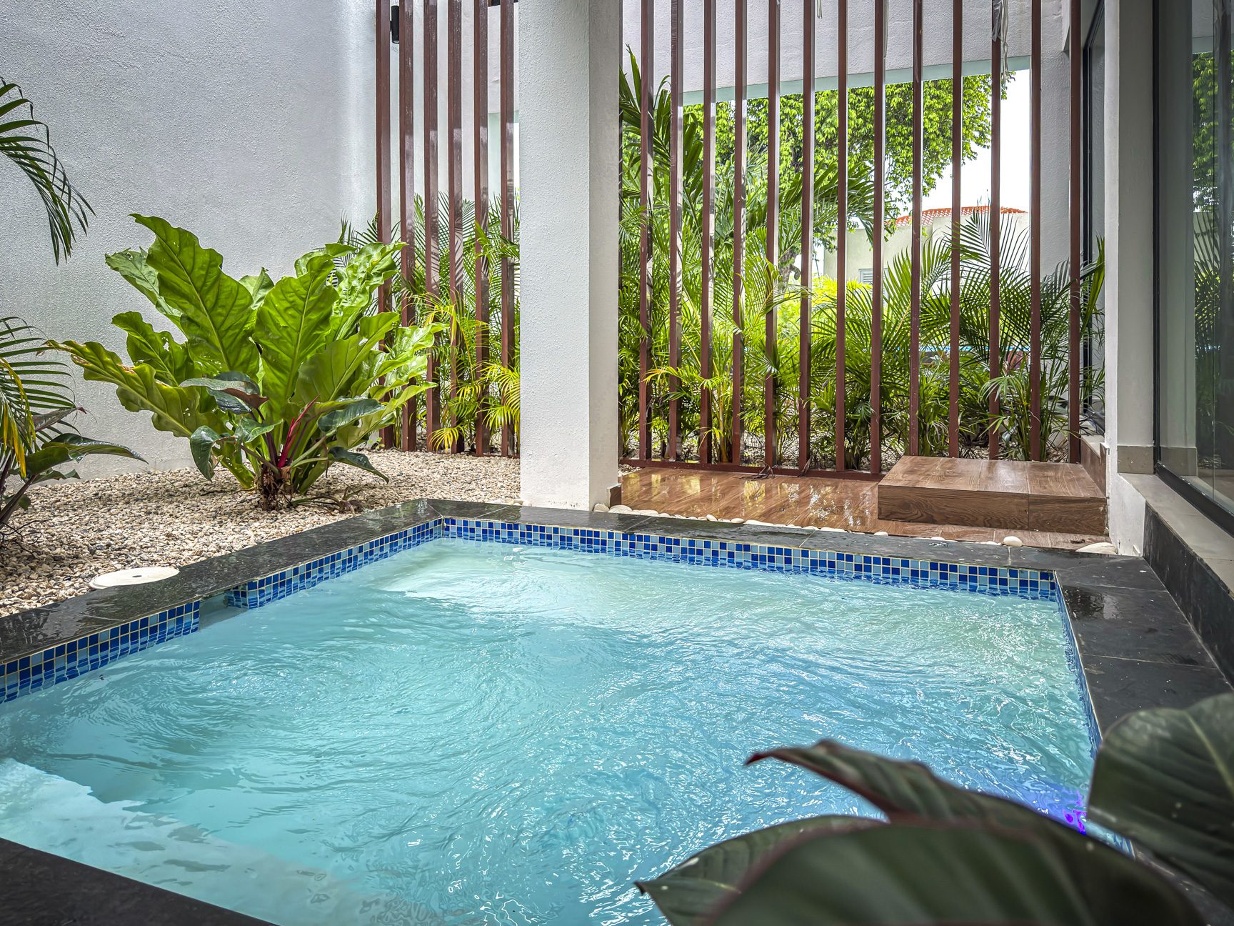 buyDRproperty Luxury villa's private plunge pool in Sosua Ocean Village, surrounded by lush greenery and modern design. Sosua Real Estate