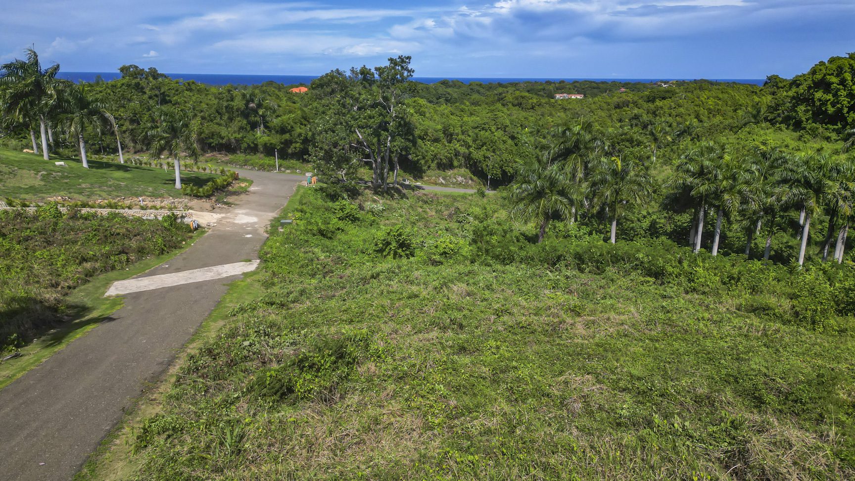 buyDRproperty Lush tropical landscape with palm trees, road, and ocean view in the distance. Sosua Real Estate