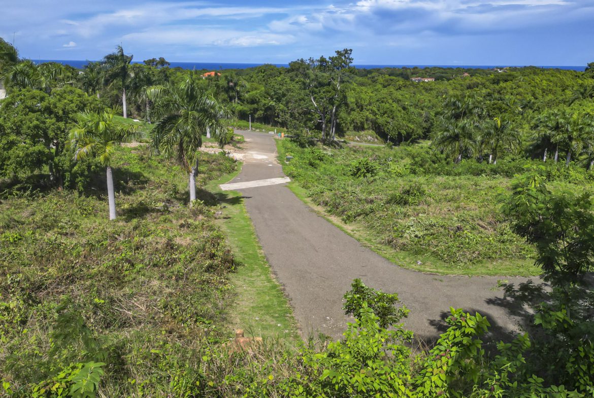 buyDRproperty Tropical landscape with a road winding through lush greenery toward the ocean under a blue sky. Sosua Real Estate