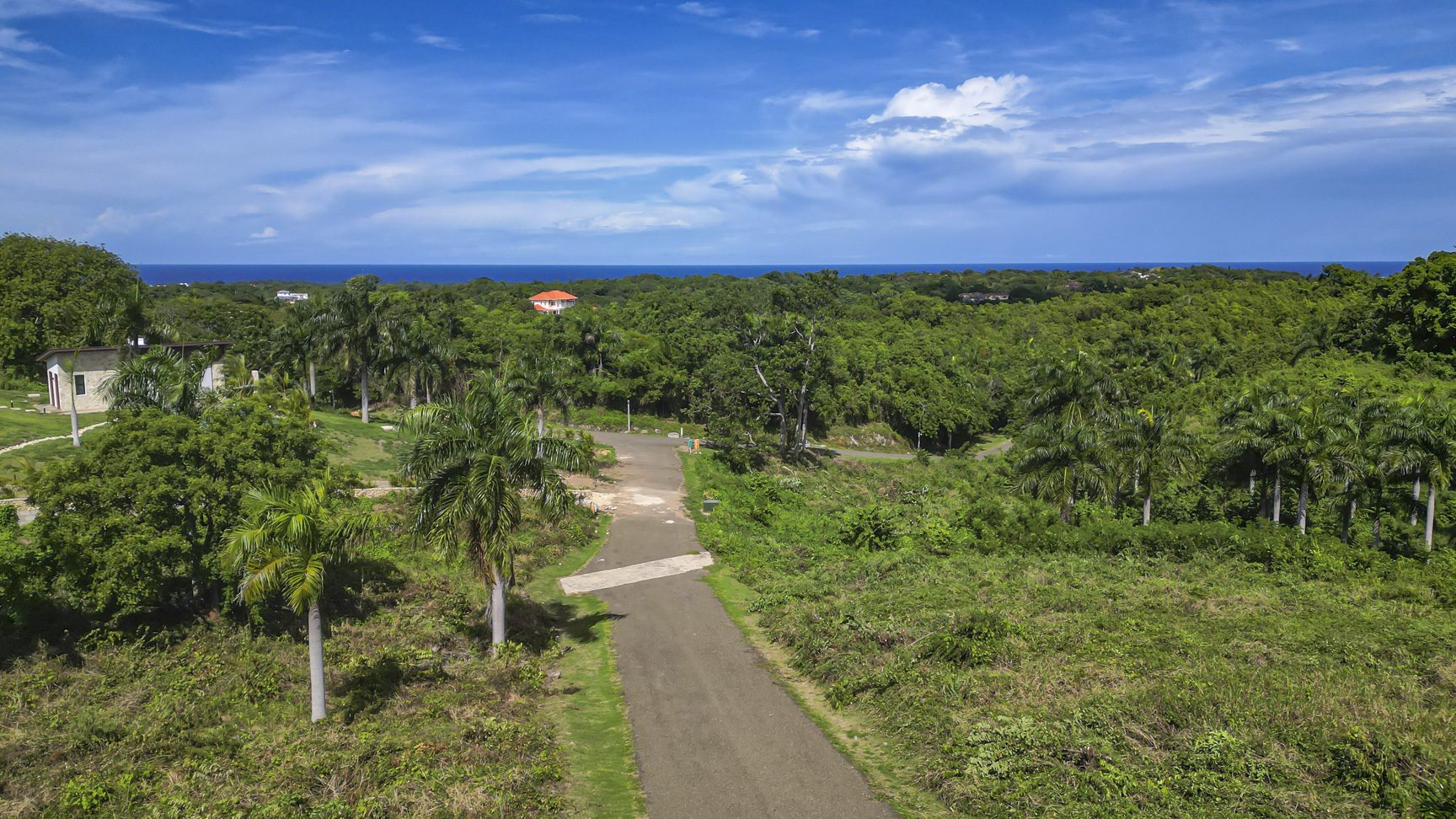 buyDRproperty Lush tropical landscape with palm trees, a winding road, and a glimpse of the ocean. Sosua Real Estate