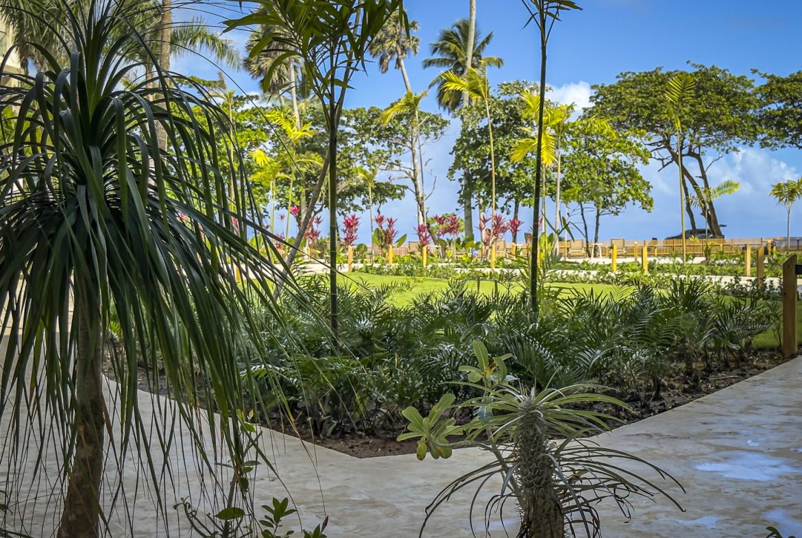 buyDRproperty Tropical resort garden with palm trees, lush greenery, and a glimpse of the ocean under a bright blue sky. Sosua Real Estate