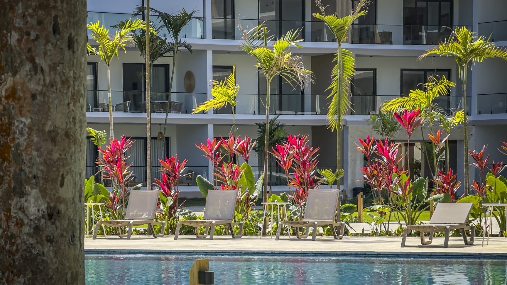 buyDRproperty Poolside lounge chairs at a modern resort with tropical plants and palm trees. Sosua Real Estate