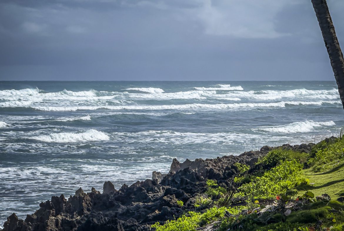 buyDRproperty Waves crashing on a rocky, green Hawaiian coastline under a cloudy sky. Palm tree on the right. Sosua Real Estate