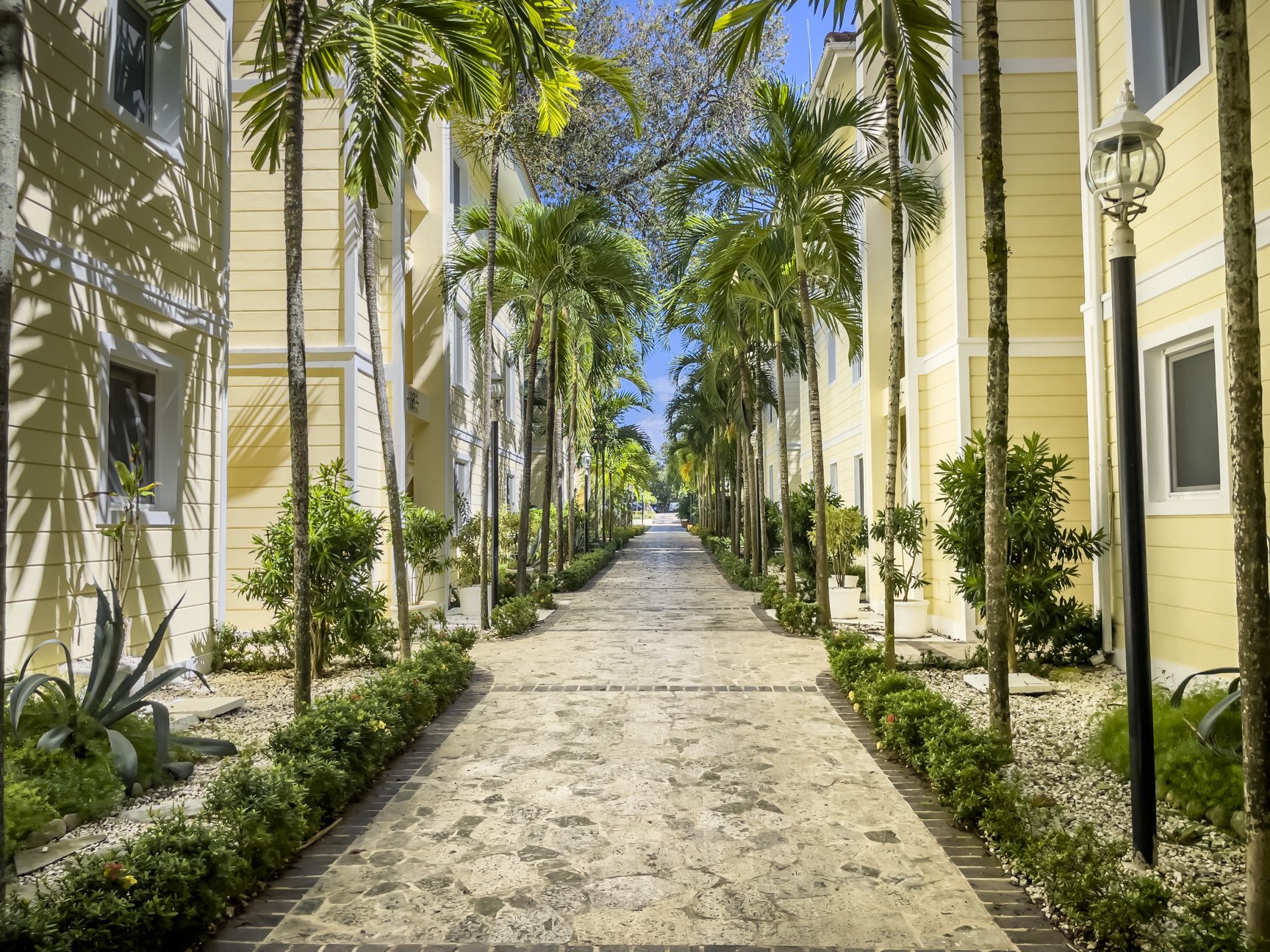 buyDRproperty Tropical walkway lined with palm trees and yellow buildings under a blue sky. Sosua Real Estate