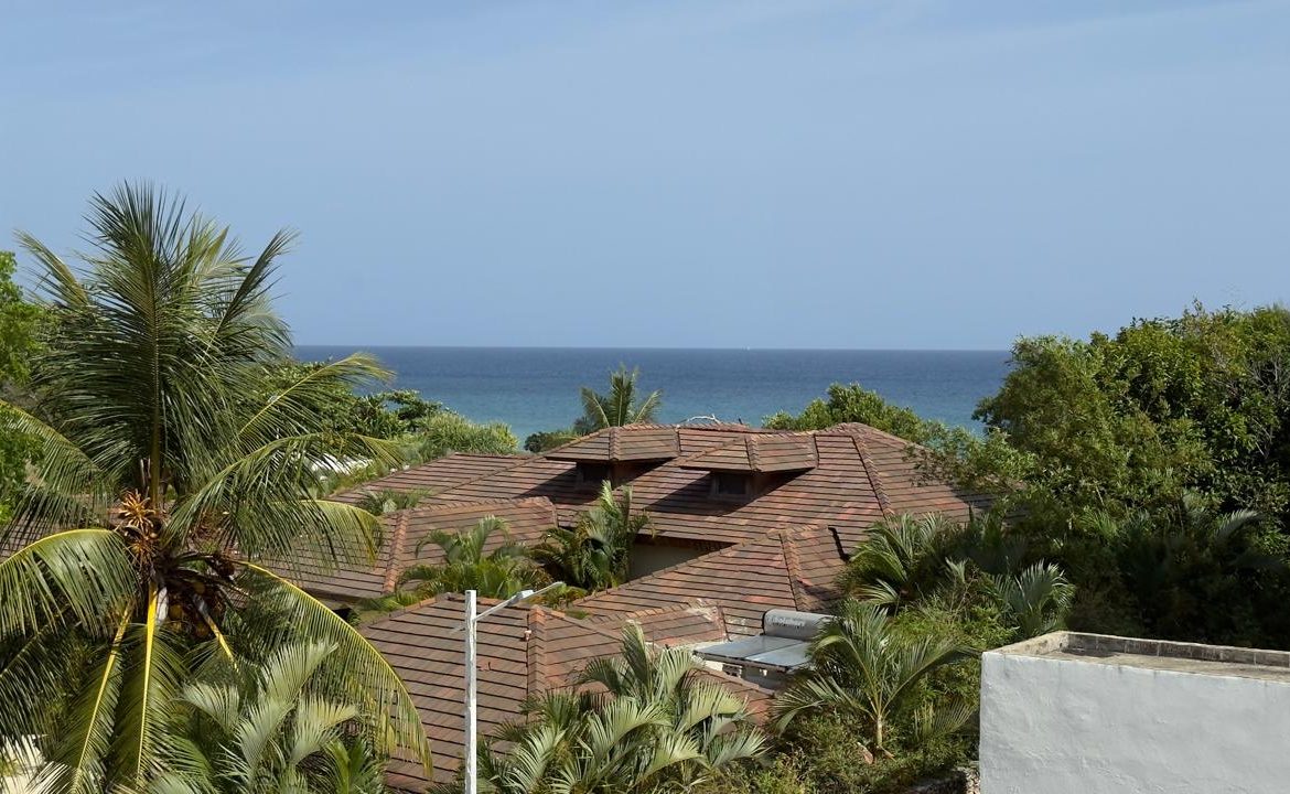 Tropical rooftops with terracotta tiles and palm trees overlooking the ocean.
