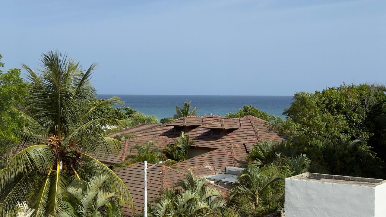 Tropical rooftops with terracotta tiles and palm trees overlooking the ocean.