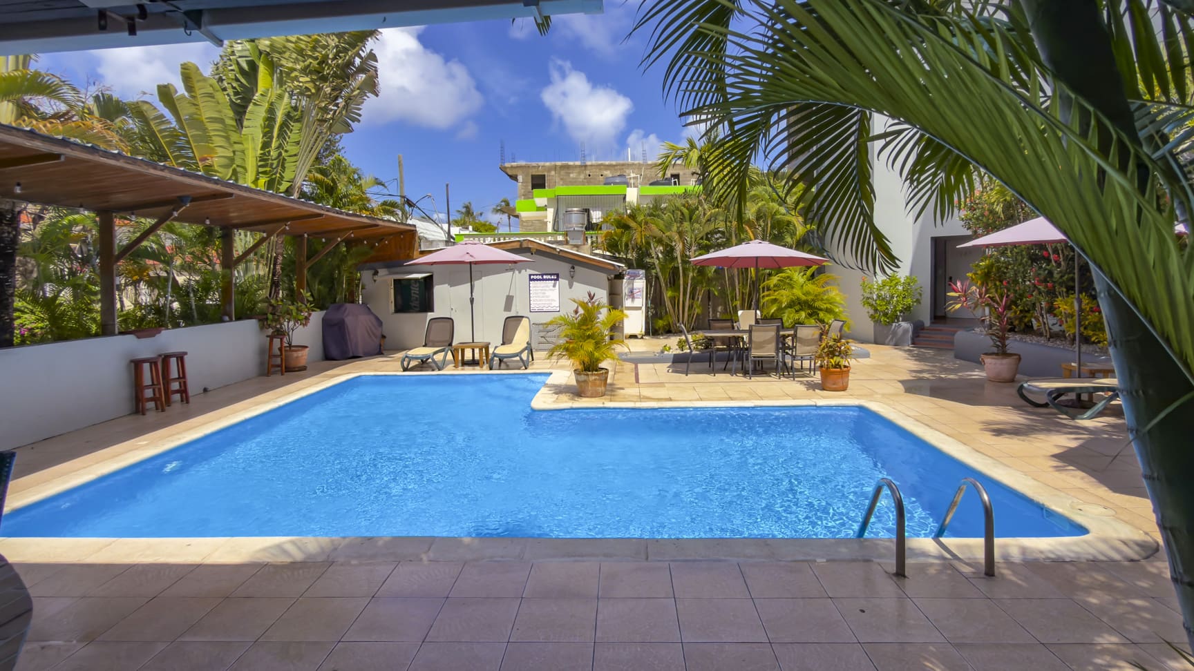 Tropical resort pool with palm trees, lounge chairs, and umbrellas.