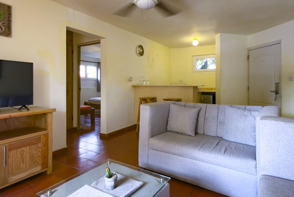 Living room with sofa, TV, and kitchen counter, opening to a bedroom.