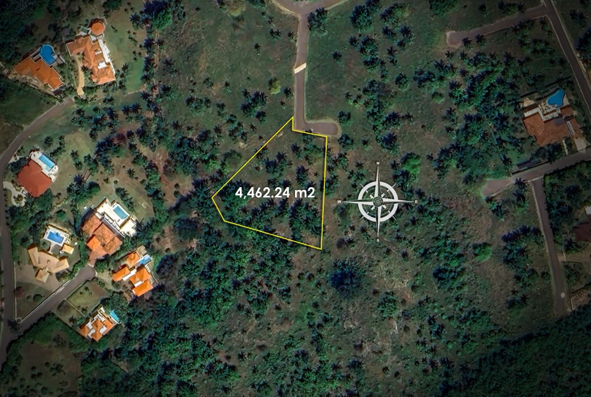 Aerial view of a yellow-outlined parcel measuring 4,462.24 m2 amid palm trees and nearby homes.