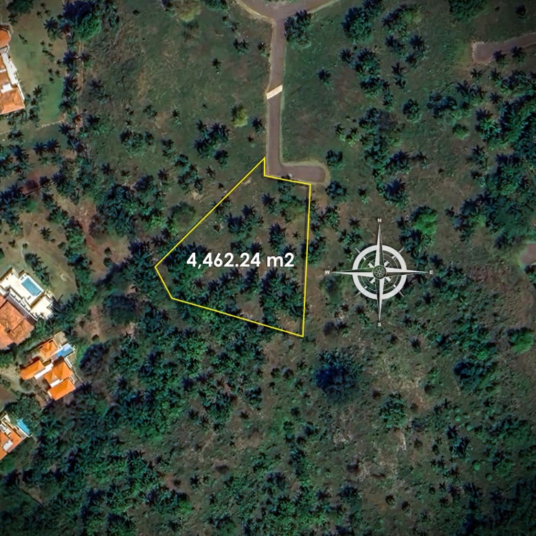 Aerial view of a yellow-outlined parcel measuring 4,462.24 m2 amid palm trees and nearby homes.