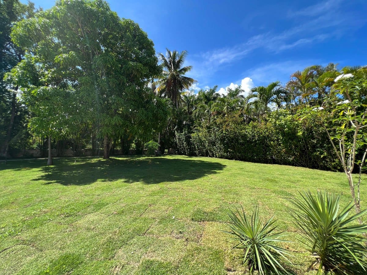 buyDRproperty Lush green lawn with tropical trees and a bright blue sky. Sosua Real Estate