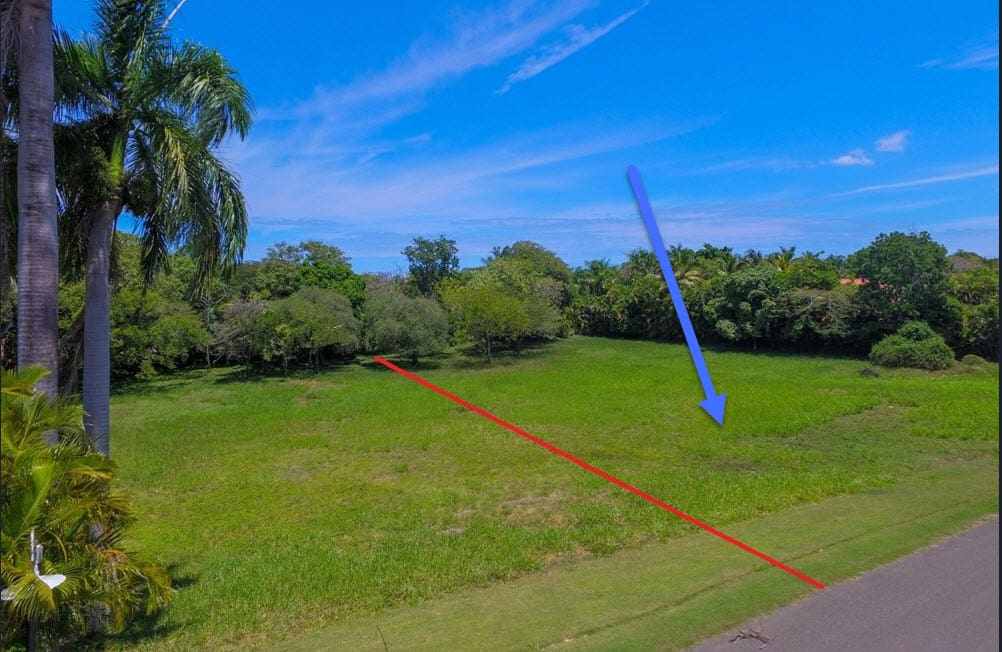 Lush green field with palm trees and a blue arrow pointing down.